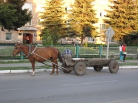 3700_nk-0301-IMG_9948.JPG