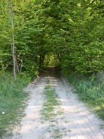 3713_nk-IMG_2535.JPG