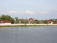 3891_k-IMG_2643.JPG