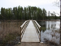 4874_nk-IMG_3147.JPG