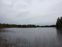 4875_nk-IMG_3148.JPG