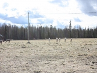 5128_nk-IMG_3293.JPG