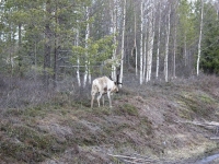 5148_nk-IMG_3313.JPG
