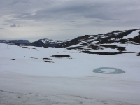 5495_nk-IMG_3556.JPG