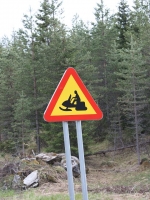5849_pk_IMG_3740.JPG