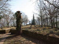 5973_freiburg-IMG_4468.JPG