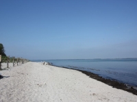 6221_vdt-IMG_4614.JPG