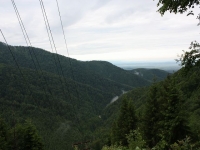 6769_t_5-1.JPG