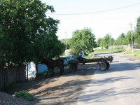 6827_t_6-1.JPG