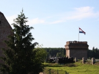 7950_t_tchernotour91.JPG