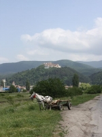 8050_t_tchernotour191.JPG