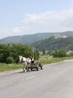 8052_t_tchernotour193.JPG