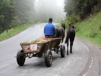 8074_t_tchernotour215.JPG