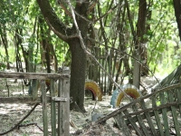8255_t_tchernotour396.JPG