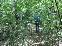 8259_t_tchernotour400.JPG