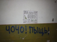 8272_t_tchernotour413.JPG