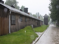8541_t_tchernotour682.JPG