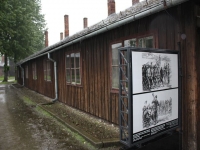 8542_t_tchernotour683.JPG