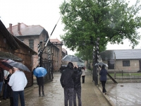 8543_t_tchernotour684.JPG