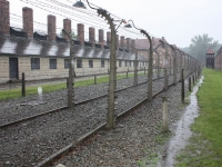 8544_t_tchernotour685.JPG