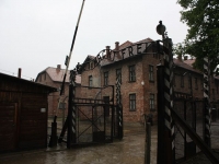 8545_t_tchernotour686.JPG