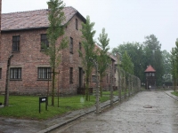 8550_t_tchernotour691.JPG