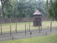 8552_t_tchernotour693.JPG