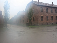 8553_t_tchernotour694.JPG