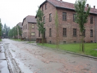 8555_t_tchernotour696.JPG