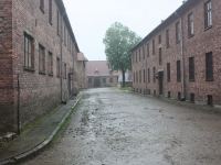 8556_t_tchernotour697.JPG
