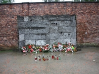 8558_t_tchernotour699.JPG