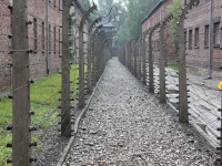 8562_t_tchernotour703.JPG