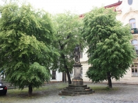8581_t_tchernotour722.JPG
