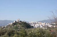 8812_mamarrokosp001.JPG