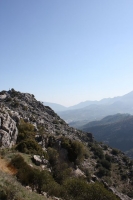 8817_mamarrokosp006.JPG