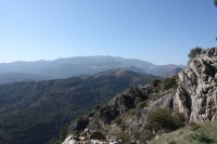 8818_mamarrokosp007.JPG