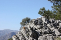 8819_mamarrokosp008.JPG