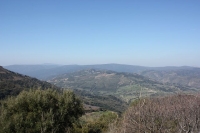 8825_mamarrokosp014.JPG