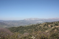 8826_mamarrokosp015.JPG