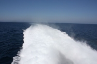 8842_mamarrokosp031.JPG