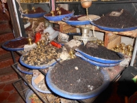8873_mamarrokosp062.JPG