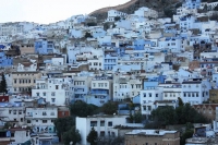 8970_mamarrokosp072.JPG