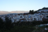 8973_mamarrokosp075.JPG