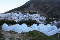8977_mamarrokosp079.JPG