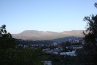 8979_mamarrokosp081.JPG