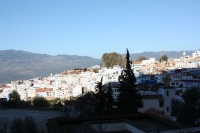 8982_mamarrokosp084.JPG
