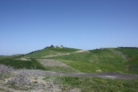 8988_mamarrokosp090.JPG