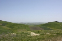 8989_mamarrokosp091.JPG