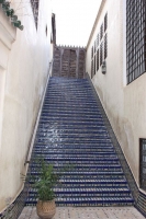 9010_mamarrokosp112.JPG