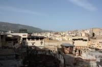 9022_mamarrokosp124.JPG